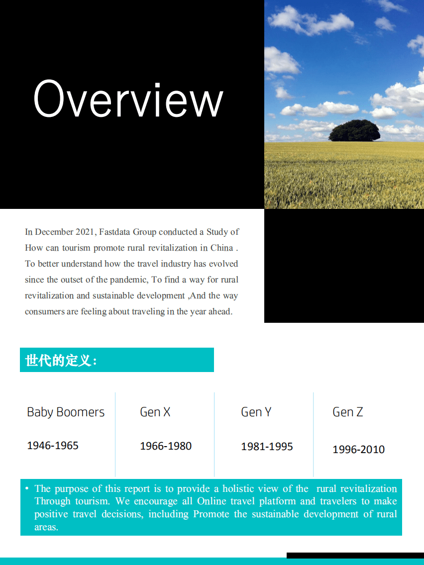 极数：2021年旅游助力中国乡村振兴研究报告.pdf 第2页
