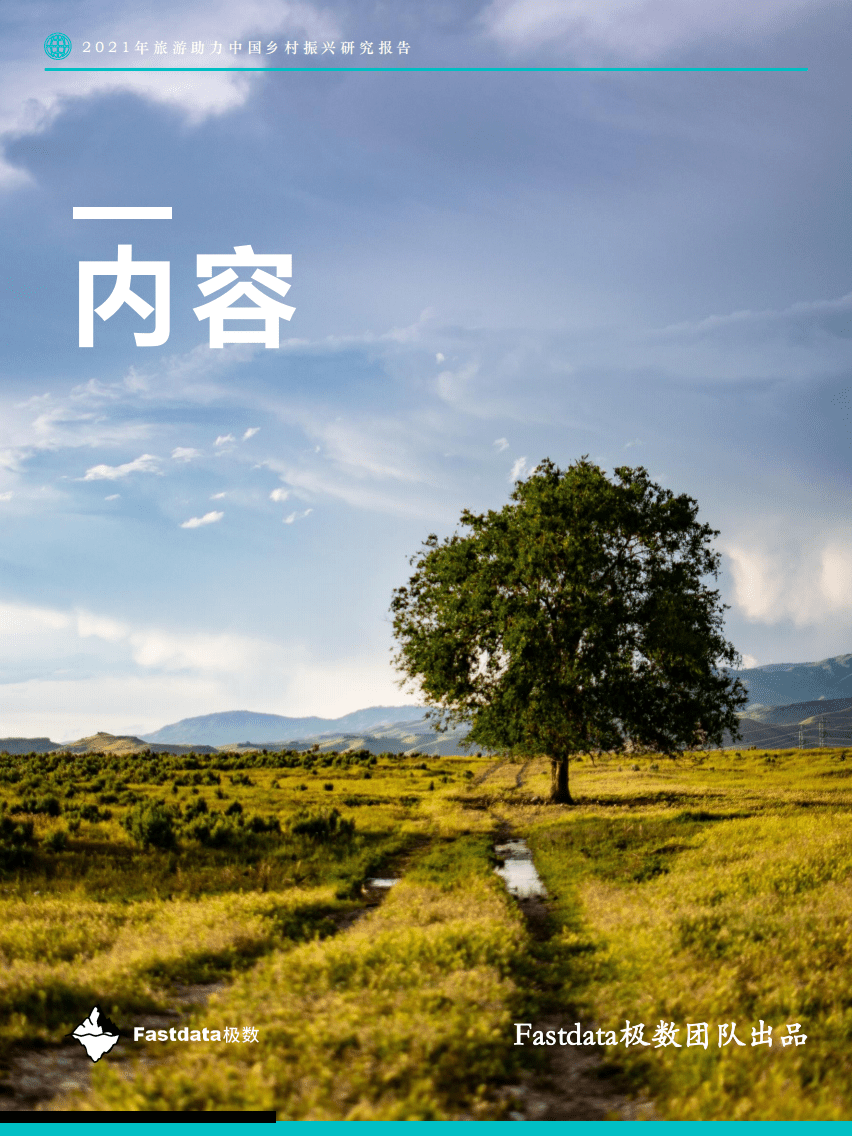 极数：2021年旅游助力中国乡村振兴研究报告.pdf 第3页