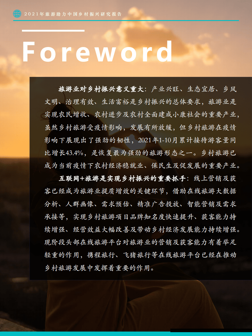 极数：2021年旅游助力中国乡村振兴研究报告.pdf 第5页