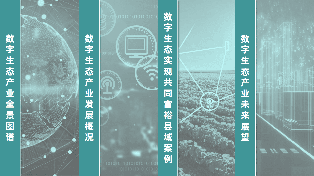 阿里云&鲸准研究院：数字生态产业助推共同富裕发展白皮书.pdf 第2页