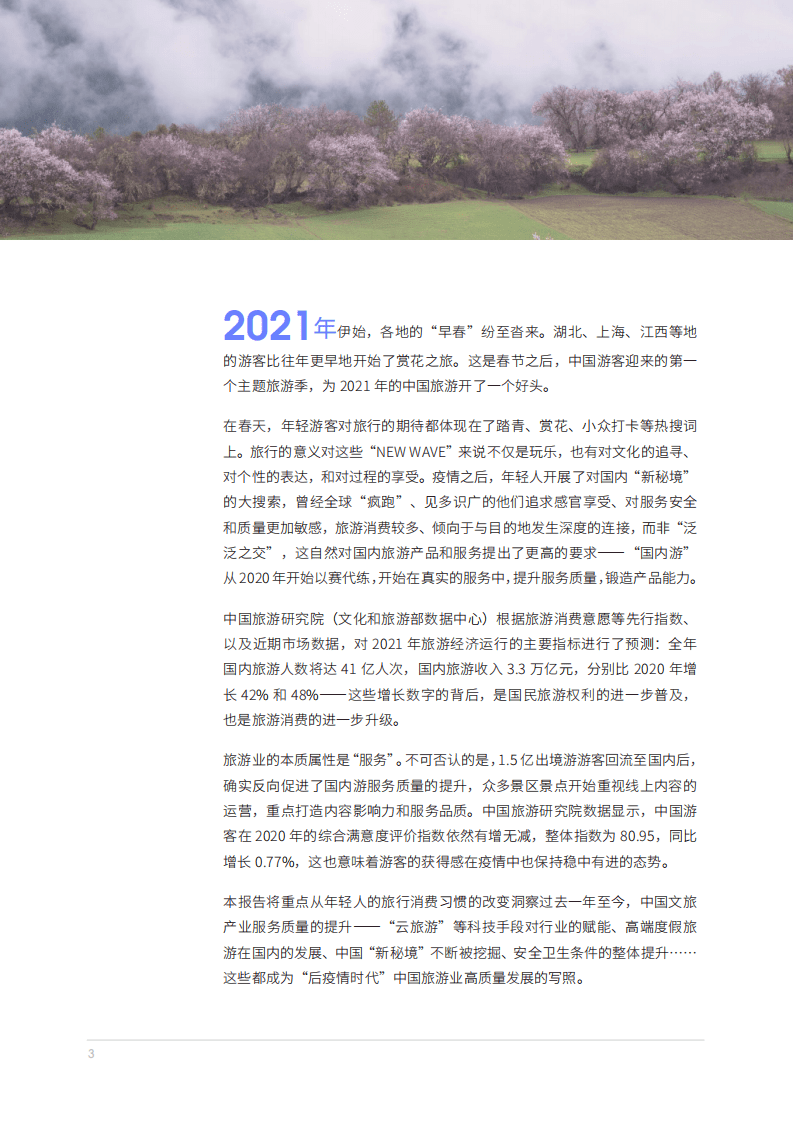 马蜂窝：NEW WAVE&mdash;&mdash;年轻人品质旅游报告.pdf 第3页