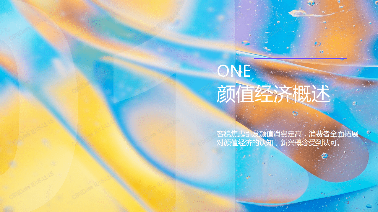 2021颜值经济新消费报告.pdf 第3页