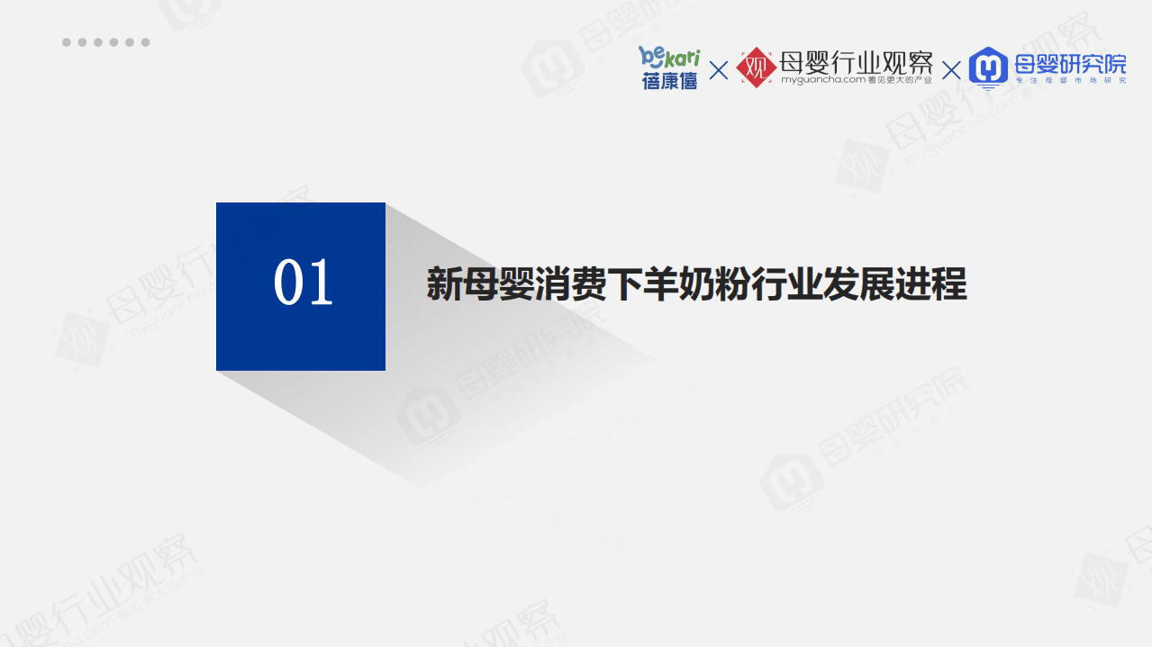 蓓康僖&母婴观察：2021羊奶粉品类消费趋势白皮书.pdf 第3页