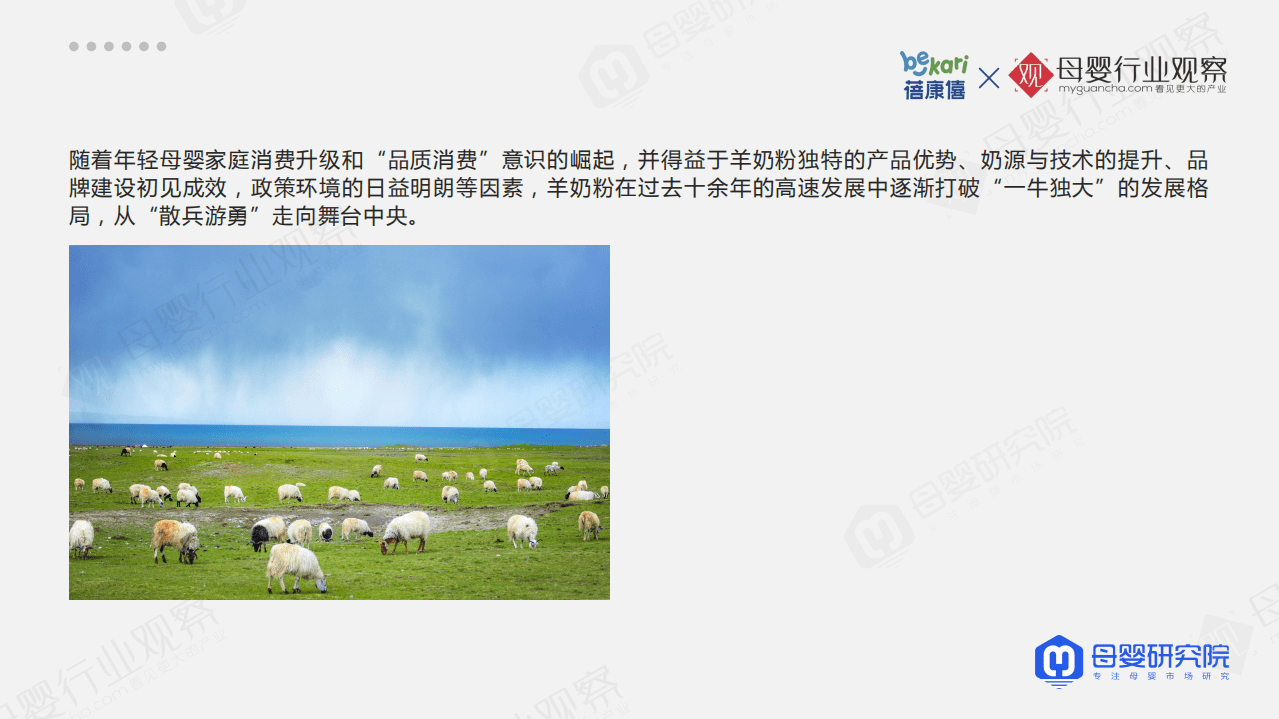 蓓康僖&母婴观察：2021羊奶粉品类消费趋势白皮书.pdf 第4页