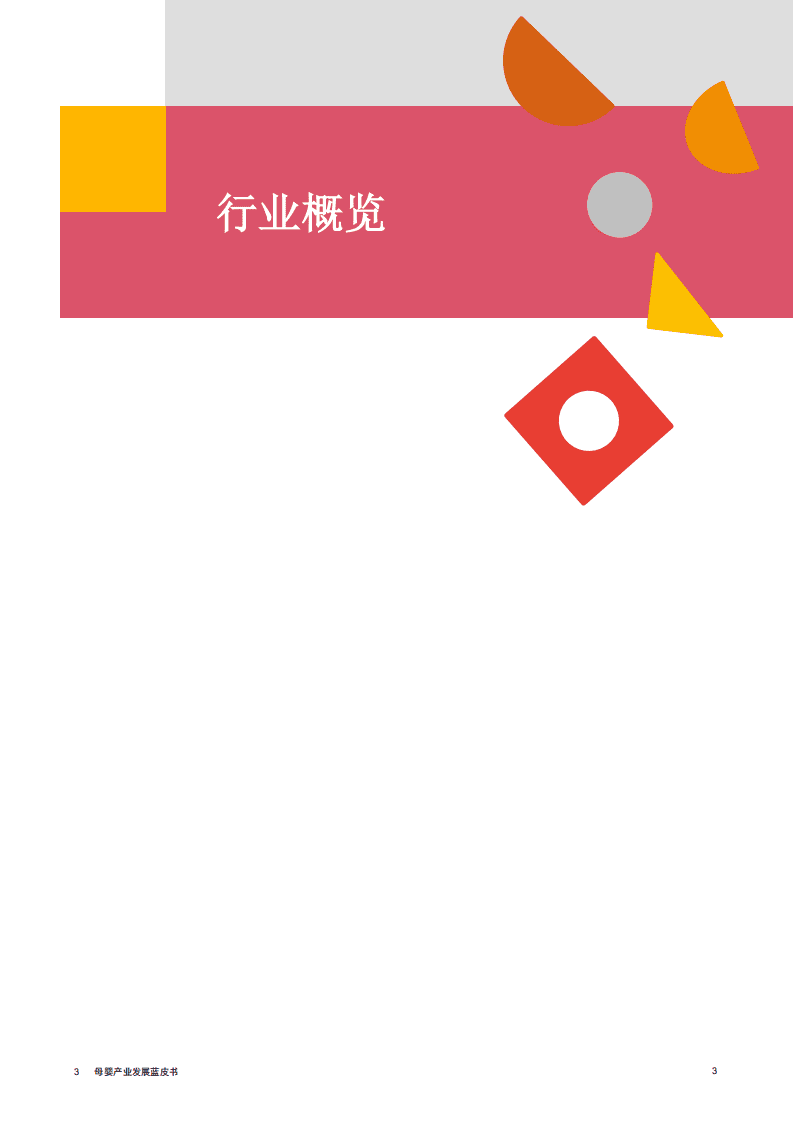 普华永道：母婴行业：母婴产业发展蓝皮书.pdf 第4页