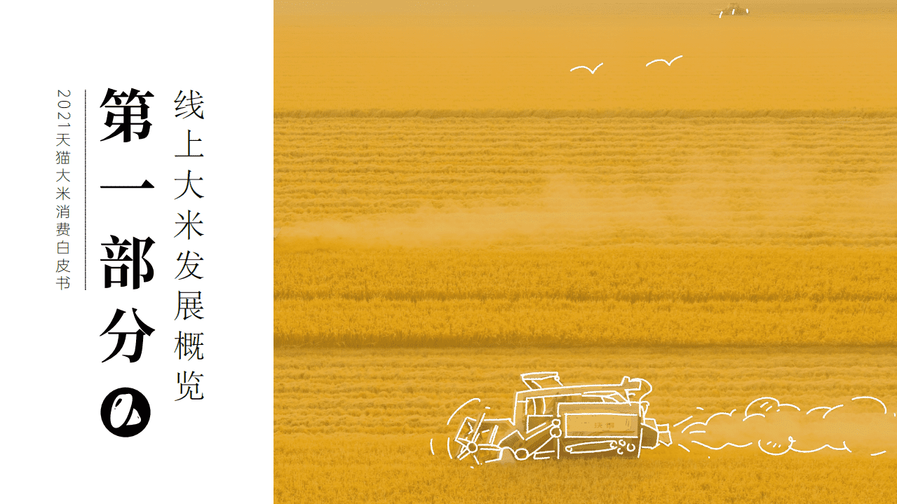 2021 天猫大米消费白皮书.pdf 第3页
