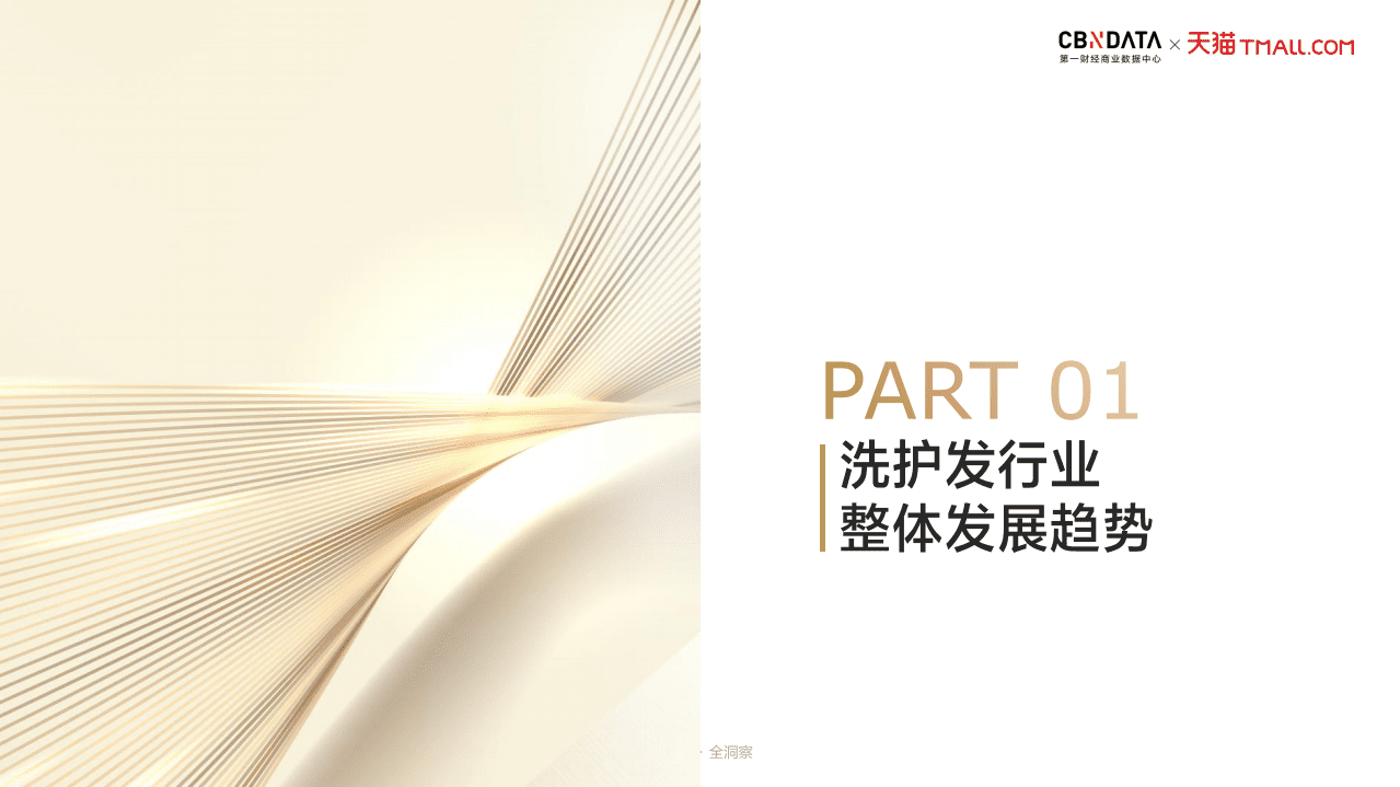 2021洗护发品类日消费洞察.pdf 第3页