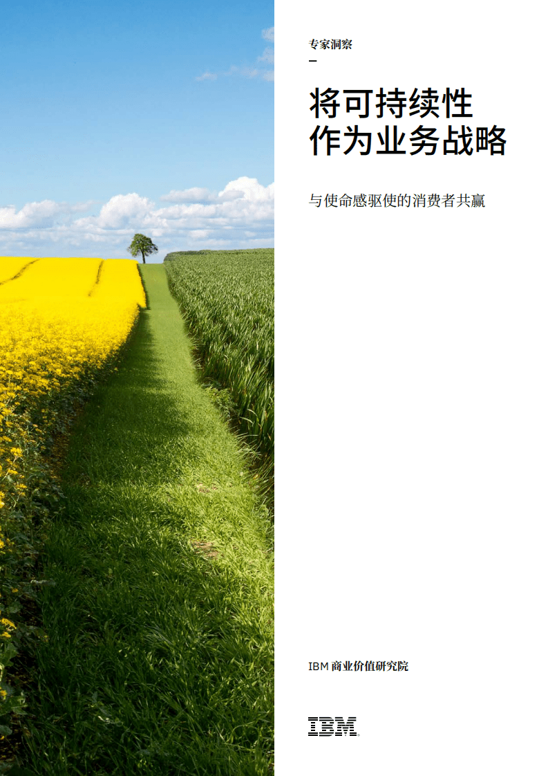 安永：将可持续性作为业务战略-与使命感驱使的消费者共赢.pdf 第1页