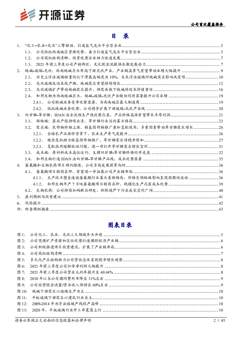 和邦生物-公司首次覆盖报告：&ldquo;化工+农业+光伏&rdquo;齐头并进，平台型布局助力业绩高增长-20211218.pdf 第2页