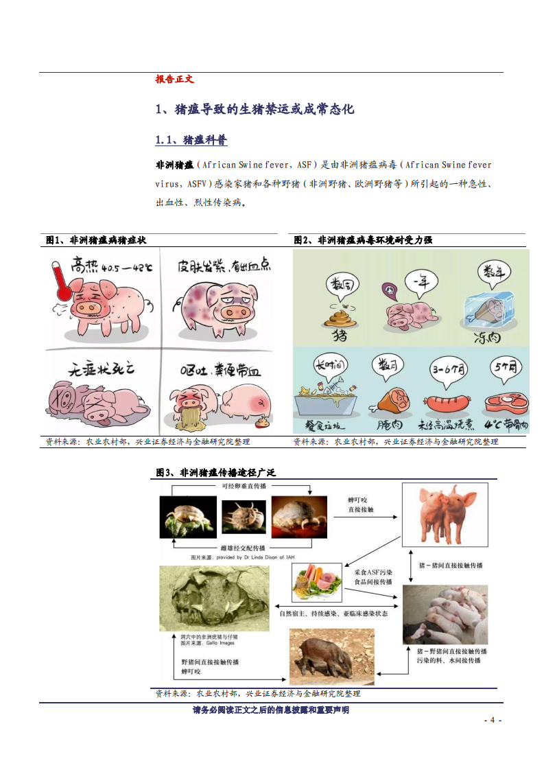 林牧渔行业：产业格局重塑，非洲猪瘟时代的猪周期-181120.pdf 第4页