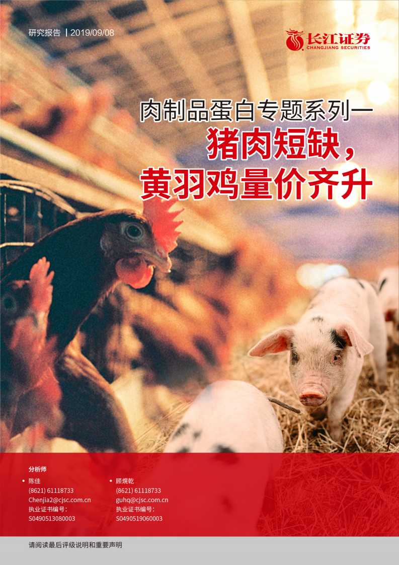 农产品行业肉制品蛋白专题报告：猪肉短缺，黄羽鸡量价齐升-190908.pdf 第1页