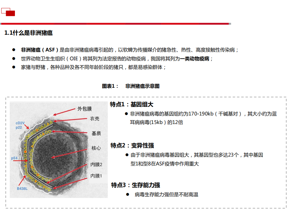 农林牧渔行业：非洲猪瘟疫情分析-180824.pdf 第4页
