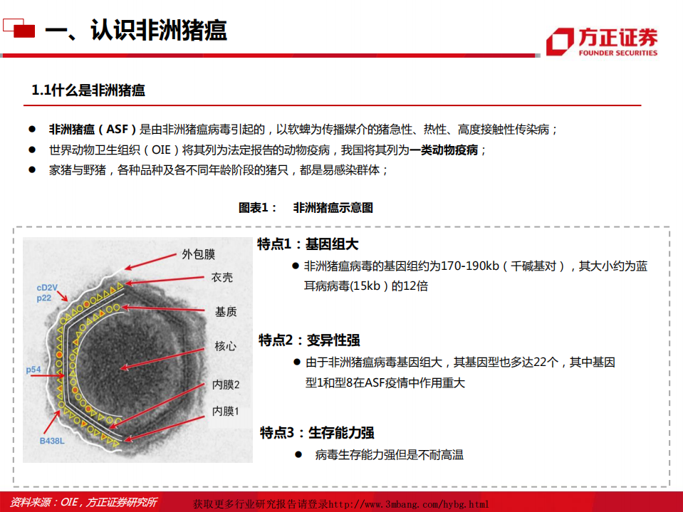 农林牧渔行业：非洲猪瘟背景下生猪养殖板块解析-190317.pdf 第4页