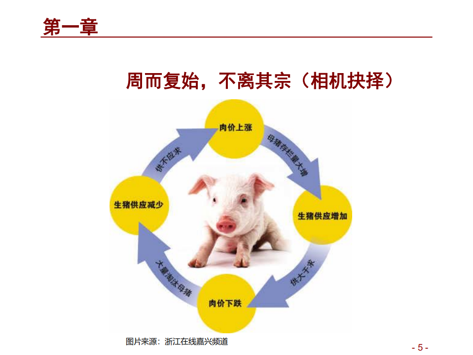 农林牧渔行业：猪！猪！猪！生猪养殖业图谱-180727.pdf 第5页