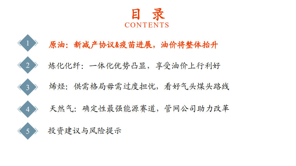 石化行业2021年度投资策略：油价复苏主旋律，石化掘金正当时-20201207.pdf 第2页