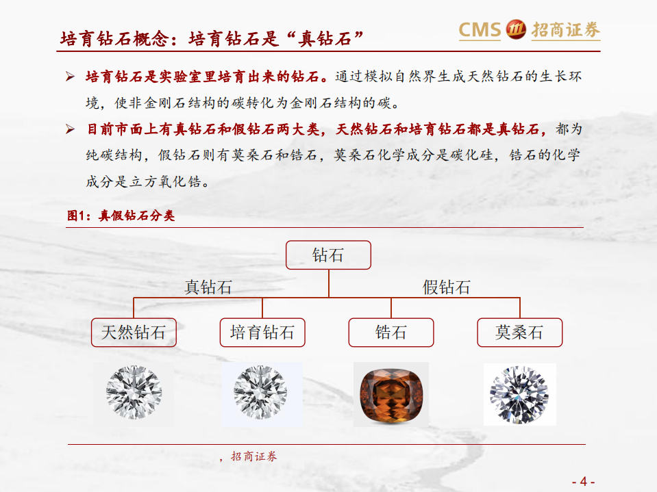 培育钻石行业专题梳理：低渗透、高成长的新兴珠宝-211020.pdf 第4页