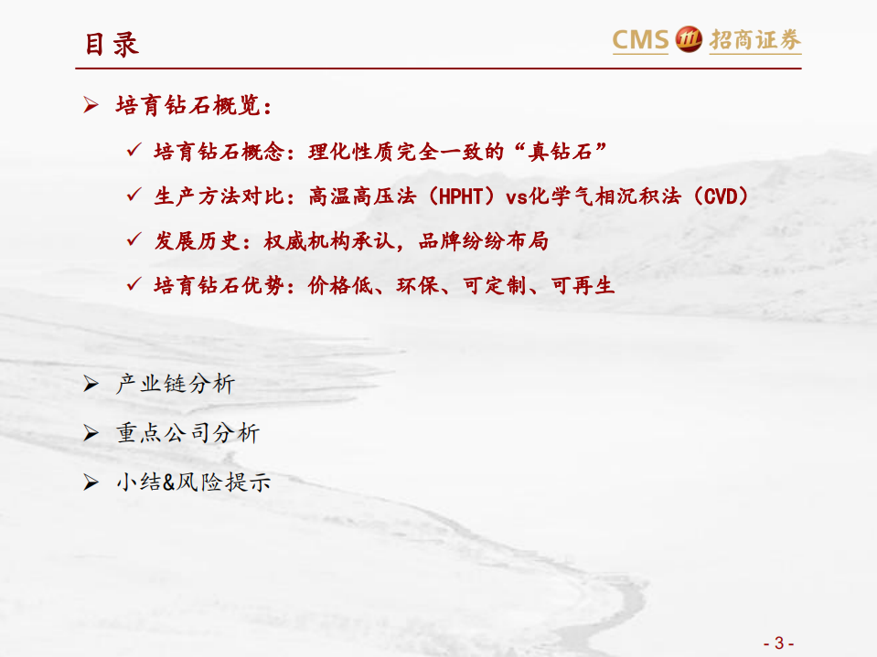 培育钻石行业专题梳理：低渗透、高成长的新兴珠宝-211020.pdf 第3页