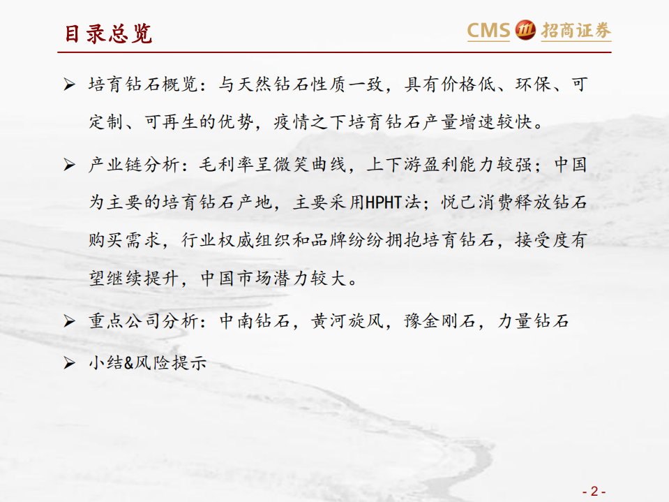 培育钻石行业专题梳理：低渗透、高成长的新兴珠宝-211020.pdf 第2页