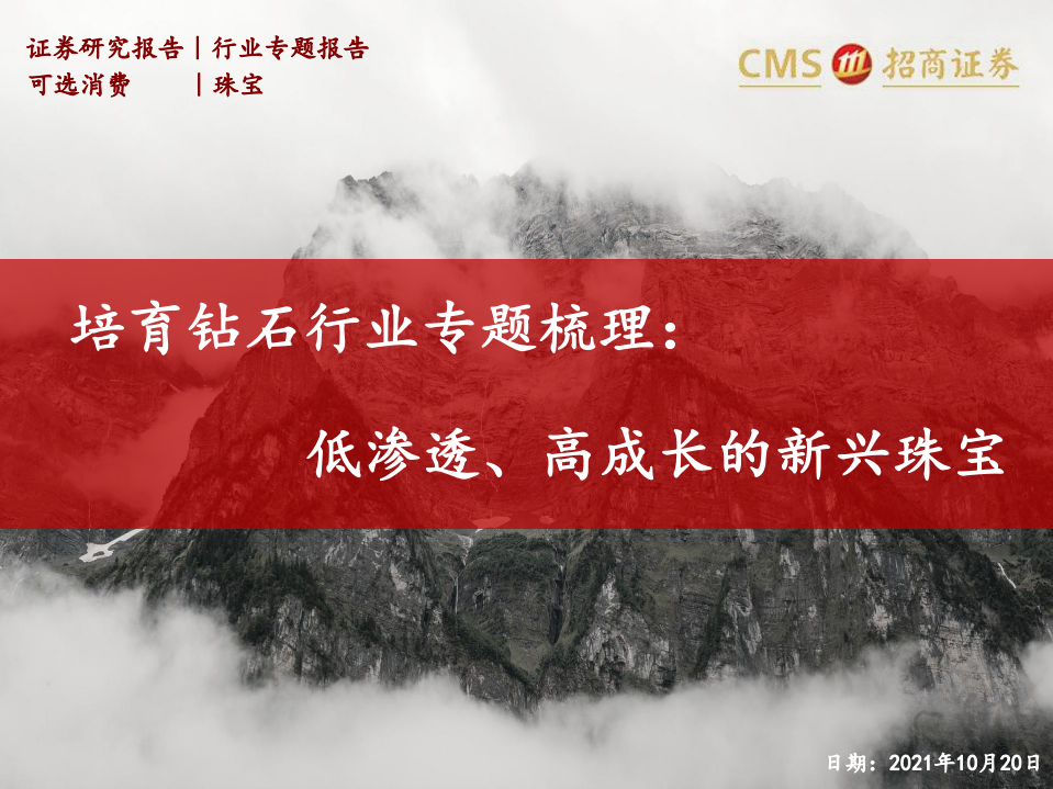 培育钻石行业专题梳理：低渗透、高成长的新兴珠宝-211020.pdf 第1页