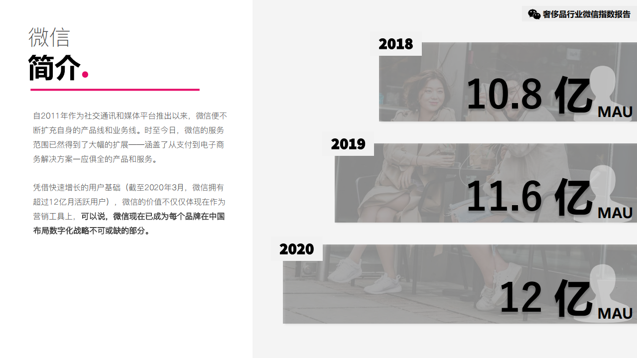 JINGdigital&DLG：2020年H1 奢侈品行业微信指数报告.pdf 第3页