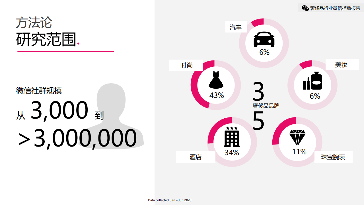 JINGdigital&DLG：2020年H1 奢侈品行业微信指数报告.pdf 第4页