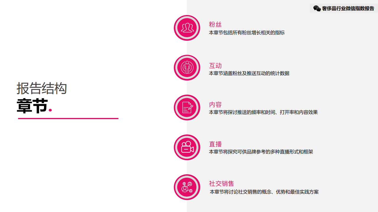 JINGdigital&DLG：2020年H1 奢侈品行业微信指数报告.pdf 第5页