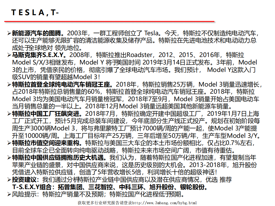 汽车行业：TESLA，T~S.E.X.Y-190313.pdf 第2页