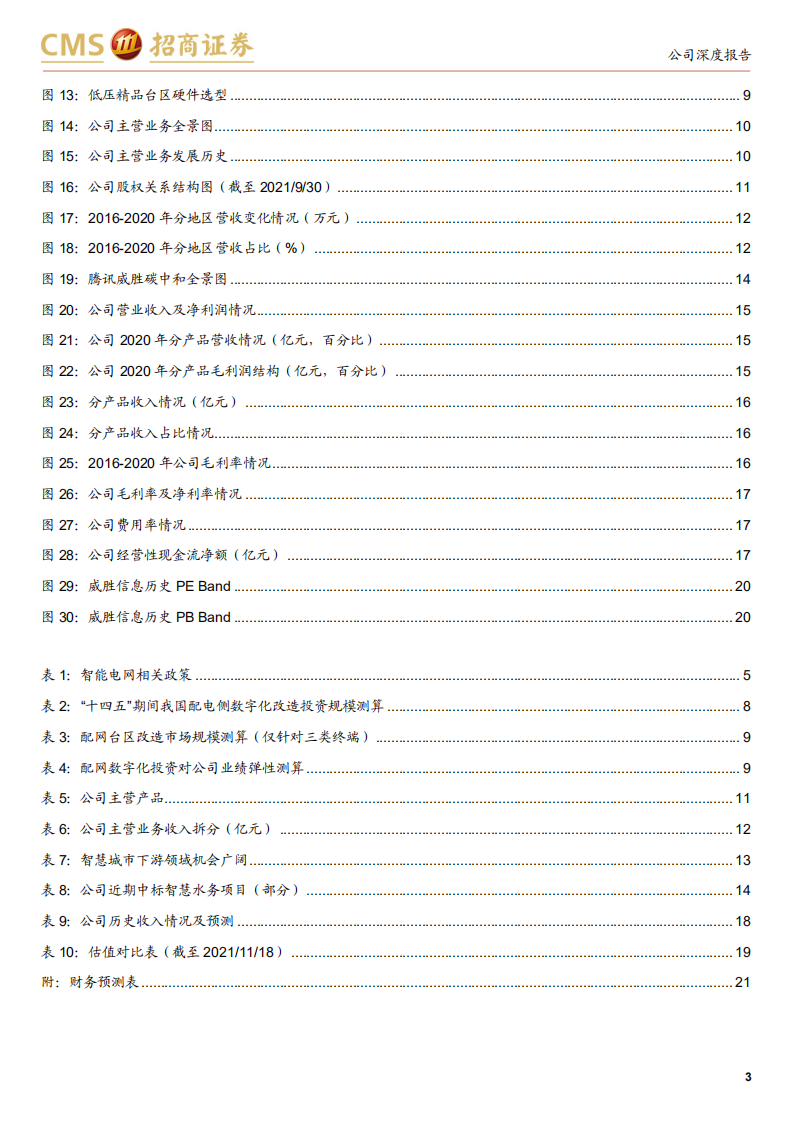 威胜信息-乘数字电网与数智城市东风，公司即将迎来黄金五年-211118.pdf 第3页
