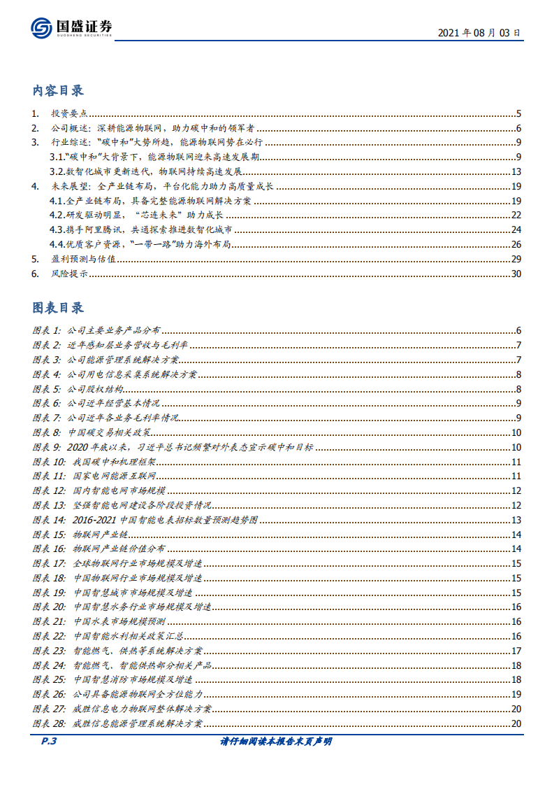 威胜信息-碳中和新时代，电力物联网先锋扬帆起航-210803.pdf 第3页