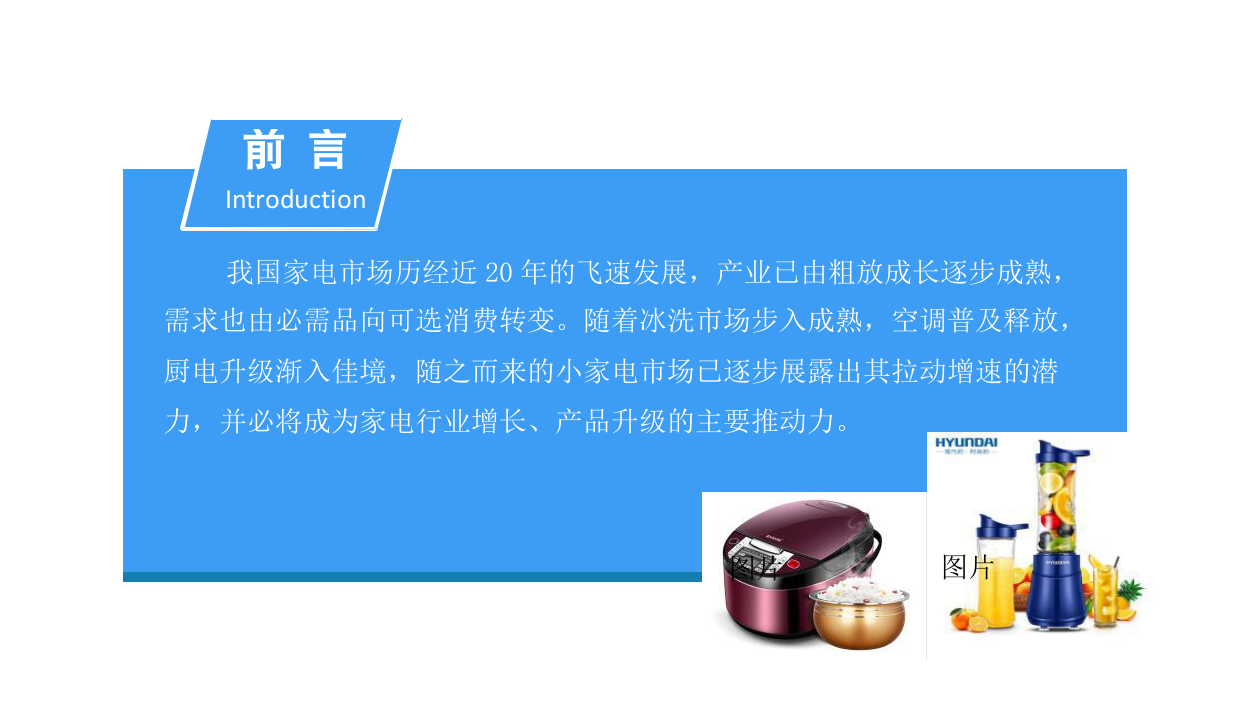 2018中国小家电行业市场前景研究报告.docx 第2页