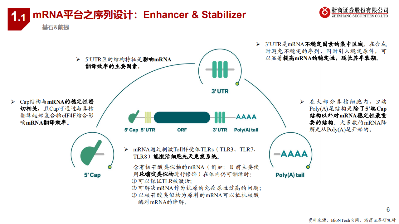 生物医药行业全球龙头系列报告之三：mRNA的技术和平台之辩-210819.pdf 第6页