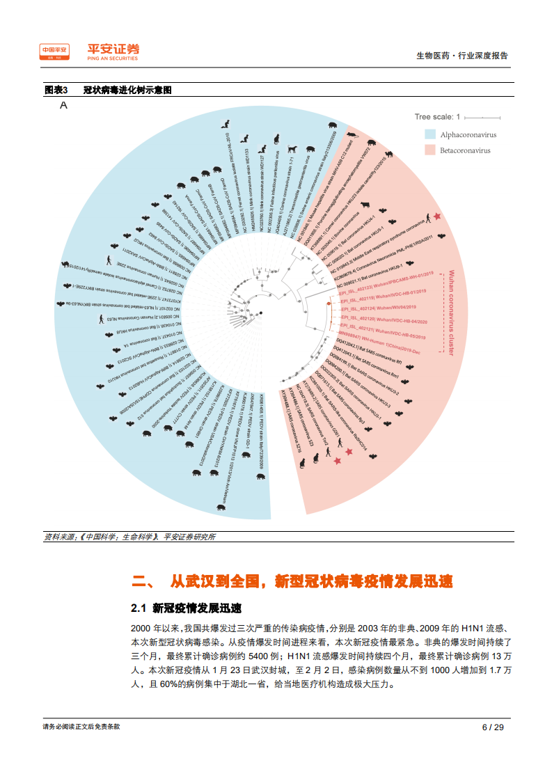 生物医药行业深度报告：生物医药产业是抗击冠状病毒的先锋-200204.pdf 第6页