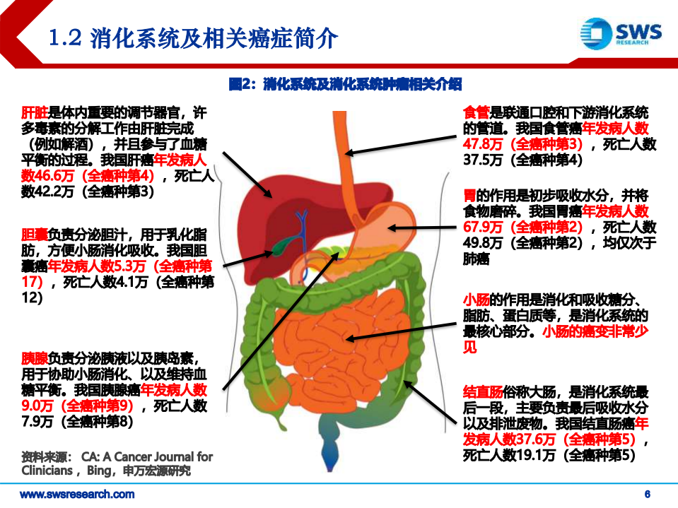 生物医药行业肿瘤创新药系列报告之四：消化系统肿瘤，介入疗法与新药齐头并进-191101.pdf 第6页
