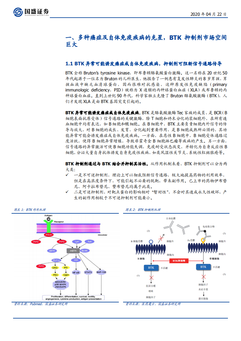 医药生物行业：创新前沿追踪科普系列（一），BTK抑制剂市场空间巨大，肿瘤与自身免疫适应症双向发展，国内企业创新加速-200422.pdf 第3页