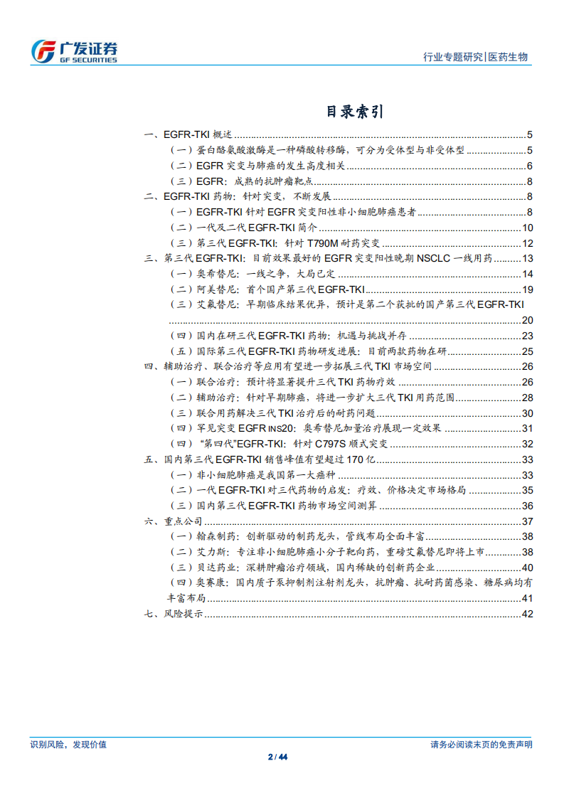医药生物行业：第三代EGFR~TKI药物，国内第一大癌症造就百亿市场空间-200614.pdf 第2页