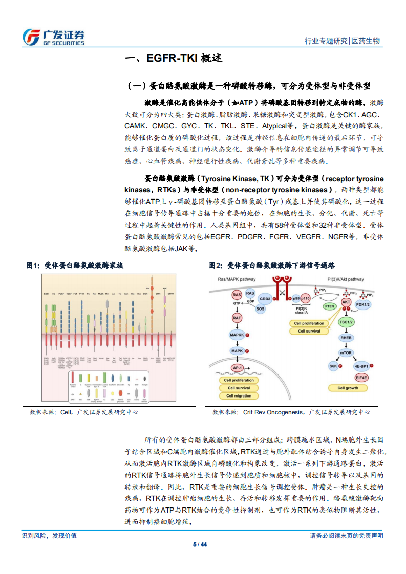 医药生物行业：第三代EGFR~TKI药物，国内第一大癌症造就百亿市场空间-200614.pdf 第5页