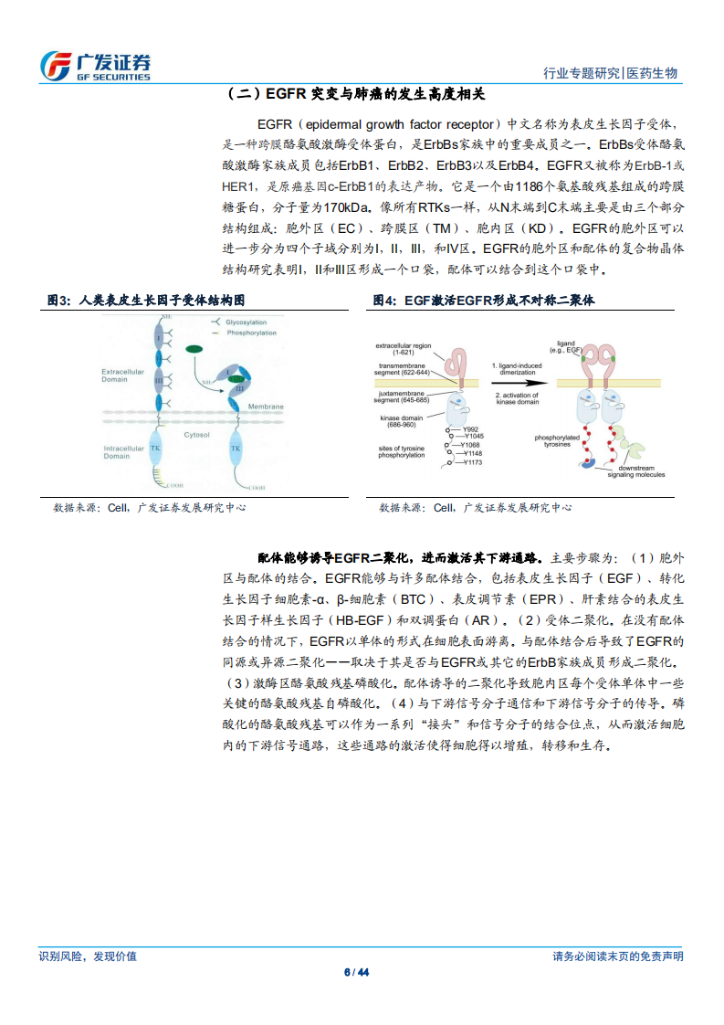 医药生物行业：第三代EGFR~TKI药物，国内第一大癌症造就百亿市场空间-200614.pdf 第6页