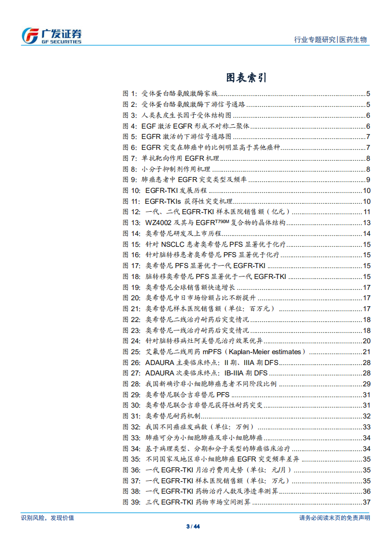 医药生物行业：第三代EGFR~TKI药物，国内第一大癌症造就百亿市场空间-200614.pdf 第3页