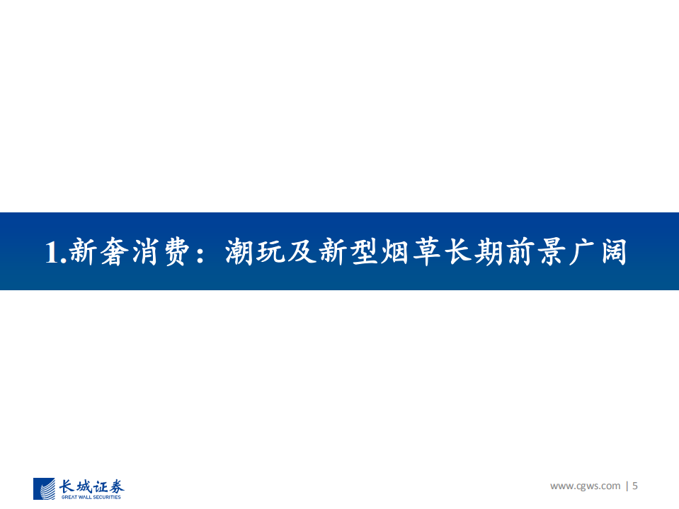 2021年轻工行业策略报告：拥抱新奢消费，布局反倾销限塑带来的行业机遇-210106.pdf 第5页