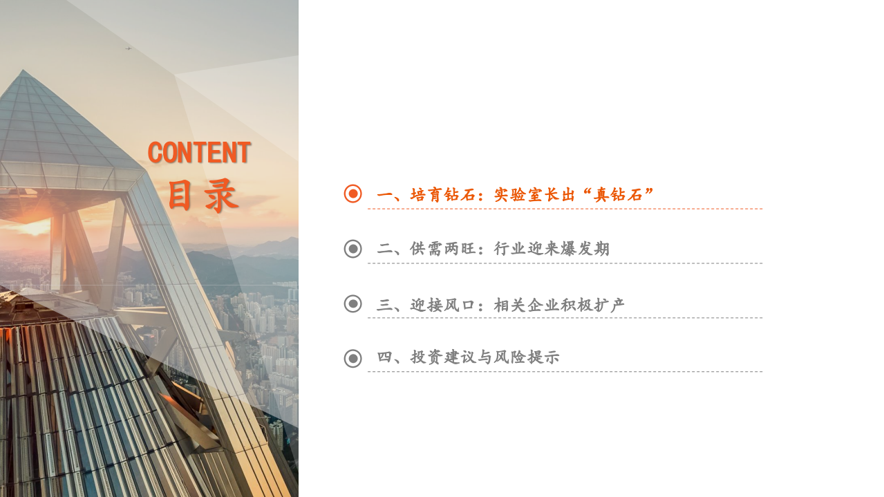 智能制造行业：技术成熟+市场认可，培育钻石迎来爆发-211012.pdf 第3页