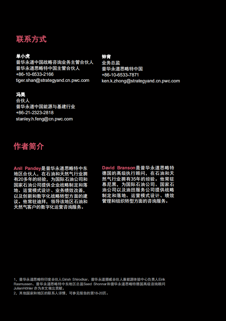 普华永道：2020年能源行业数字化运营研究.pdf 第2页