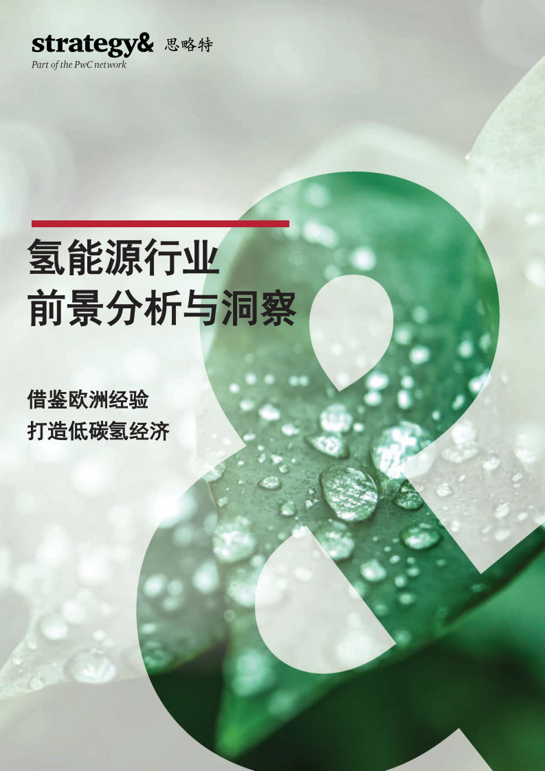 普华永道：氢能源行业前景分析与洞察：借鉴欧洲经验，打造低碳氢经济.pdf 第1页
