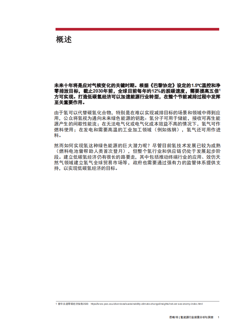 普华永道：氢能源行业前景分析与洞察：借鉴欧洲经验，打造低碳氢经济.pdf 第3页