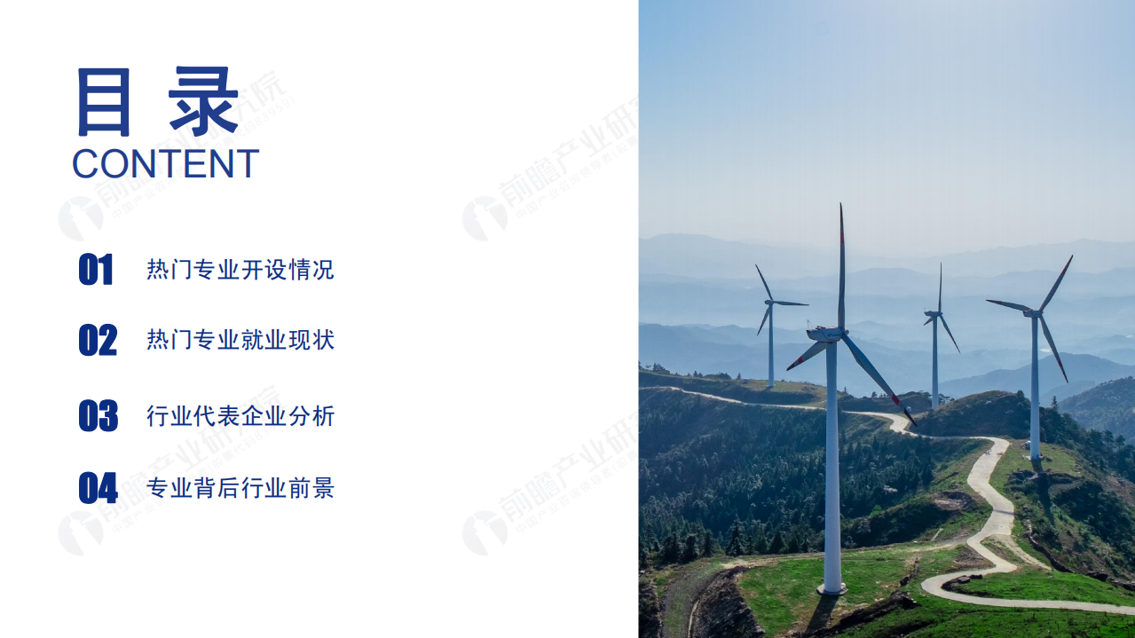 前瞻产业研究院：2020年高考志愿填报全解析&mdash;能源行业报考热门专业、院校及前景.pdf 第2页