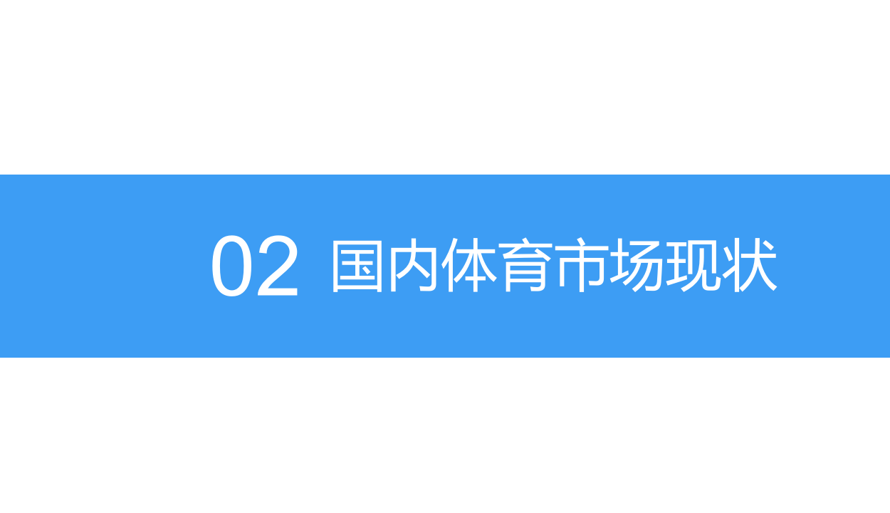 2018中国体育用品行业市场前景研究报告.docx 第6页