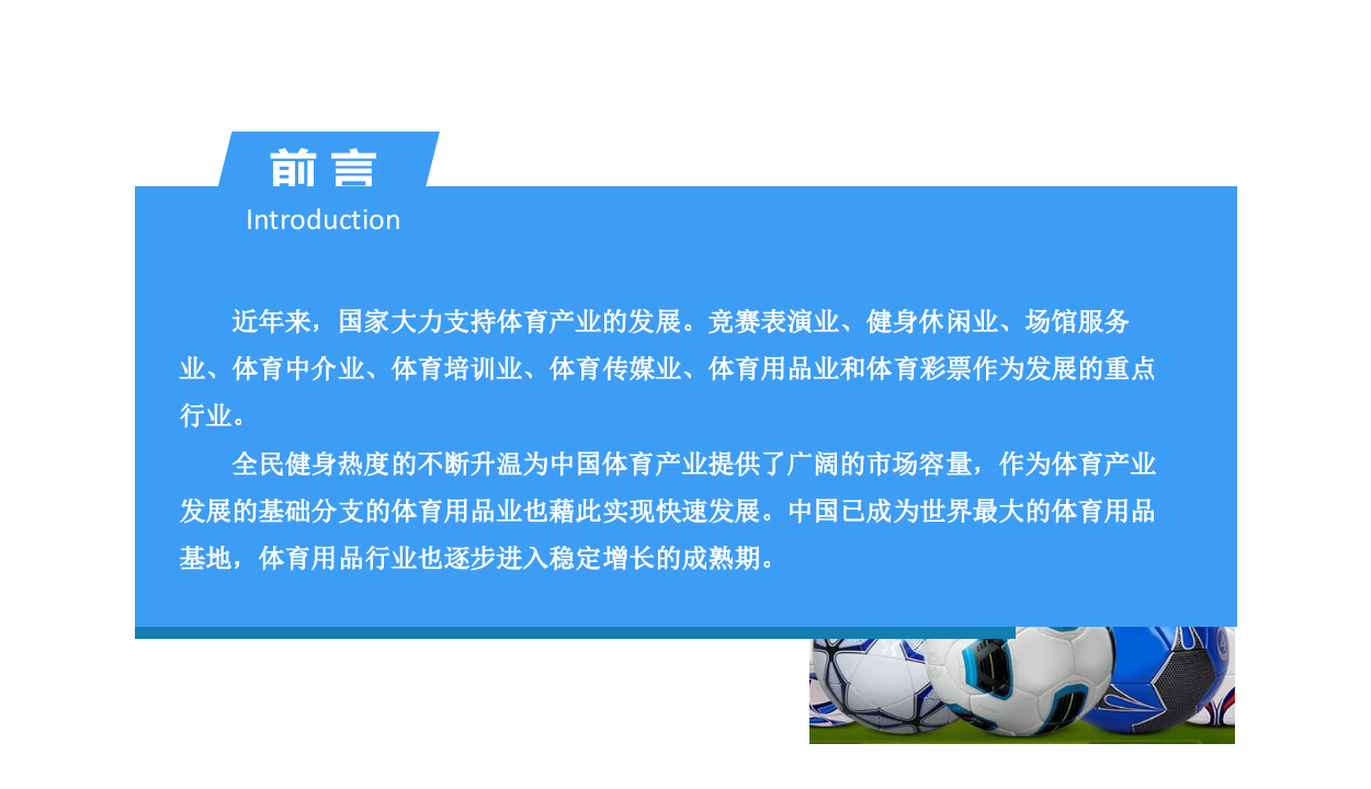 2018中国体育用品行业市场前景研究报告.docx 第2页