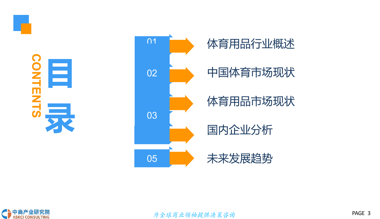 2018中国体育用品行业市场前景研究报告.docx 第3页