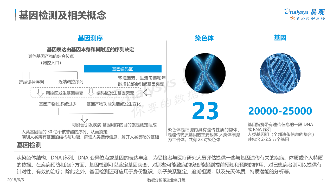2018中国基因检测行业分析.docx 第5页