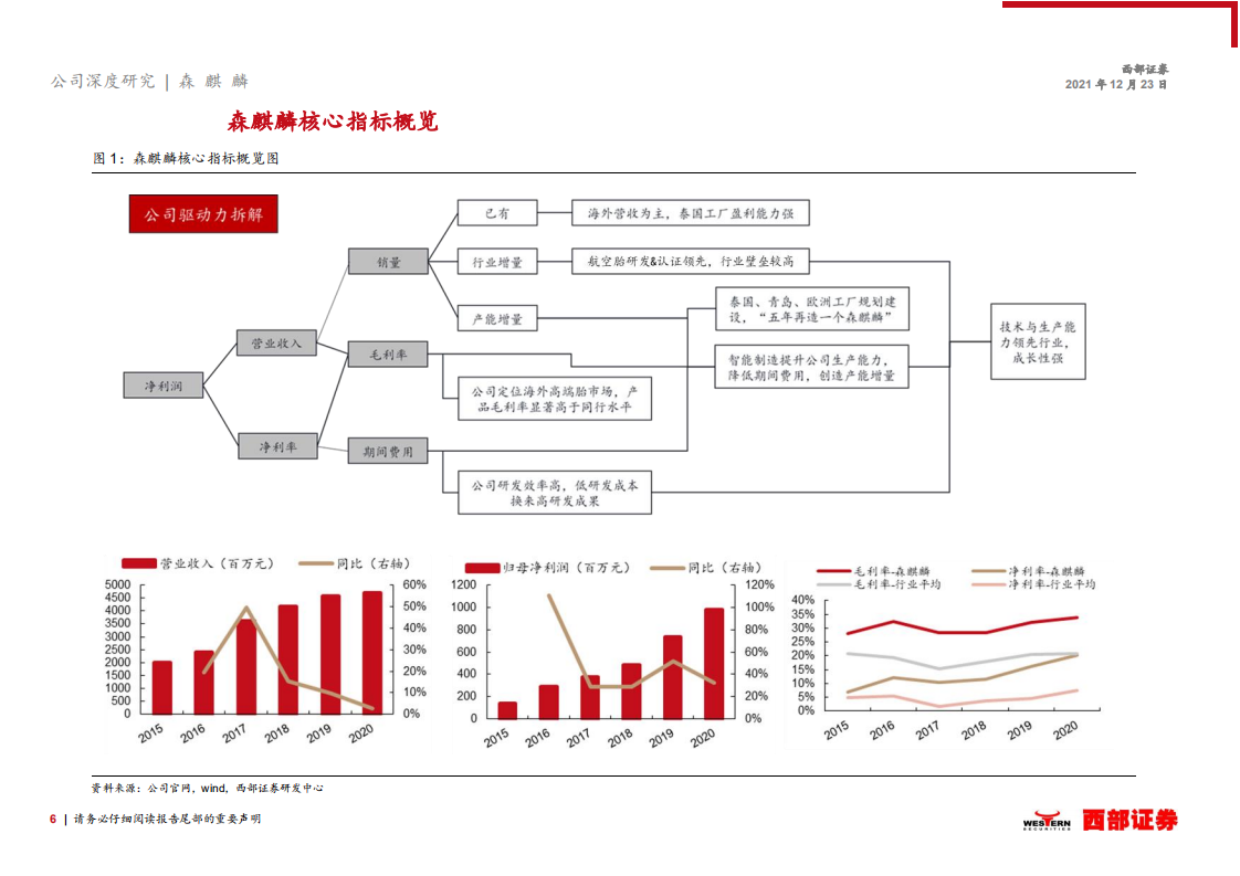 森麒麟-首次覆盖报告：新军突起，高端制造引领行业发展方向-211223.pdf 第6页
