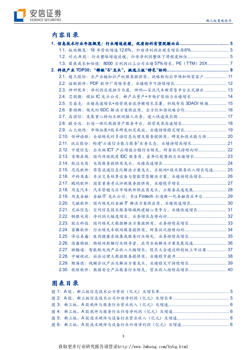 信息技术行业2018年TOP30公司：分化结构加剧，聚焦&ldquo;稀缺&rdquo;挑选&ldquo;龙头&rdquo;-190505.pdf 第3页